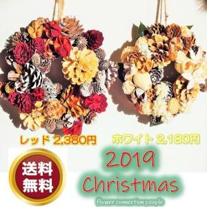 クリスマスリース レッド ナチュラル 玄関 壁飾り プレゼント 贈り物 花 ギフト