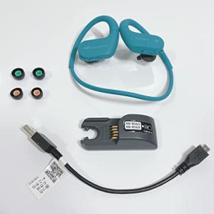 SONY ウォークマン Wシリーズ NW-WS623(G) karatebih.ba
