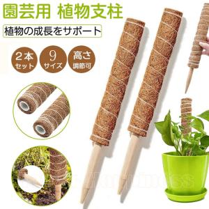 【2点セット】 モンステラ 支柱 ココナッツ支柱 園芸 支柱 観葉 植物 支柱 植物支柱 ココナッツパームスティック 棚 土 天然 ココナッツ 給水 フラワースタンド