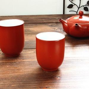 常滑焼 削り花湯呑み (和食器 朱泥 カップ 湯呑み ゆのみ 湯呑