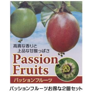 パッションフルーツ 苗 2個セット 3〜3.5号ポット クダモノトケイソウ