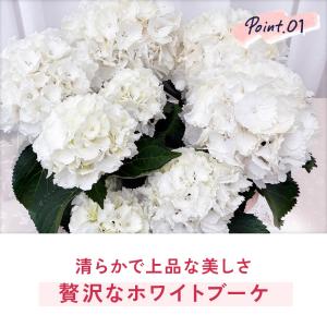 母の日 ギフト アジサイ シュガーホワイト 5...の詳細画像4