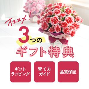 ＼ 早割 / 母の日 プレゼント 選べる カー...の詳細画像2