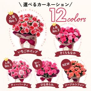 ＼ 早割 / 母の日 プレゼント 選べる カー...の詳細画像4