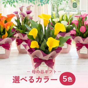 ＼ 早割 / 母の日 プレゼント 選べる カラ...の詳細画像3