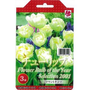 予約販売 花の大和 球根 JAPAN フラワー バルブ オブ ザ イヤー マウントタコマ 3球 hyk 10月中旬以降発送