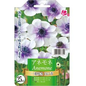 予約販売 球根 オリエンタルユリ ピンクカサブランカ 百合 ゆり