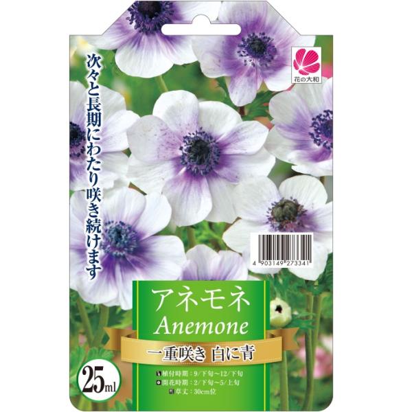 花の大和 球根 アネモネ 色別 一重咲き 白に青 25ml hyk