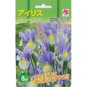 花の大和 球根 アイリス色別 ブルー&イエロー ...の商品画像
