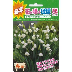 すずらん 球根 種芋 の商品一覧 花 ガーデニング 通販 Yahoo ショッピング