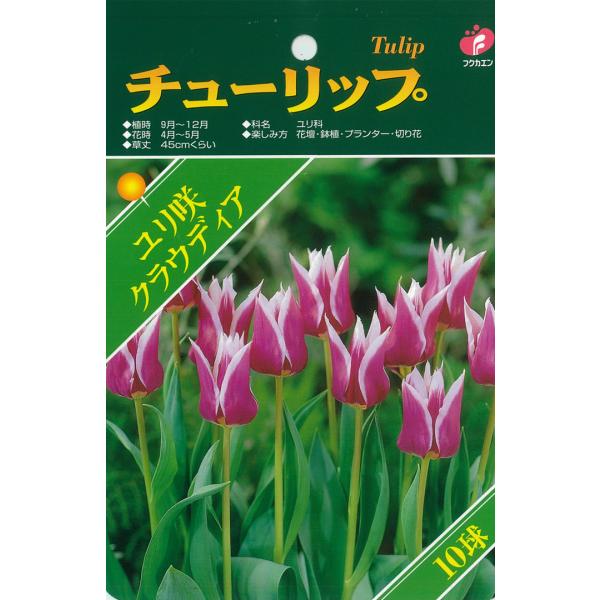 球根 チューリップ ベストチョイス クラウディア 福花園 5球 fke