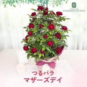 母の日 ギフト 花 バラ マザーズデイ タワー...の詳細画像3