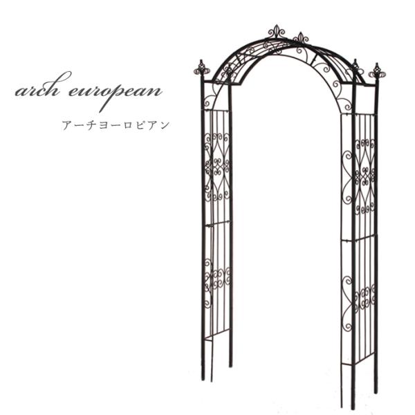 資 アーチヨーロピアン SKRA-L02 送料無料 アイアン ガーデニング エクステリア ddc