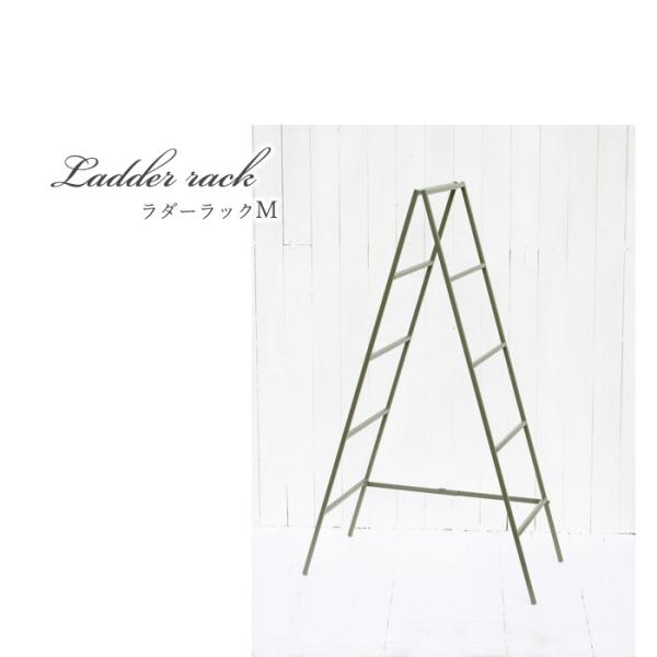 資 ラダーラックM TRR19-01M 送料無料 アイアン ラック インテリア ddc