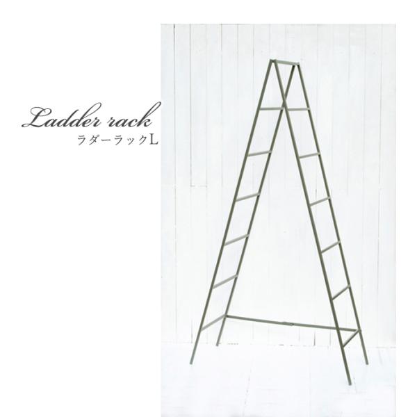 資 ラダーラックL TRR19-01L 送料無料 アイアン ラック インテリア ddc