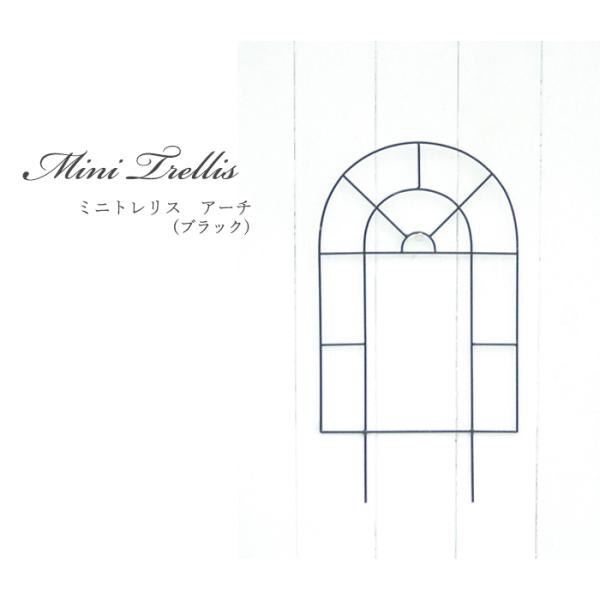 資 ミニトレリス アーチ TYMT17-CB 送料無料 アイアン トレリス ガーデニング エクステリ...
