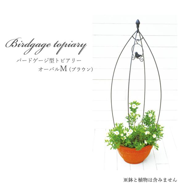 資 バードゲージ型トピアリー オーバルM ABT01-B02 送料無料 アイアン トピアリー ガーデ...