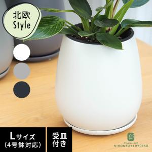日本花キ流通 予約販売 アセビ フレーミングシルバー 10.5cmポット