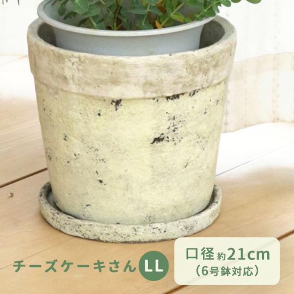 カラーが選べる植木鉢 チーズケーキさん LLサイズ 資 PP-0111LL 6号 受皿付 陶器 鉢 ...