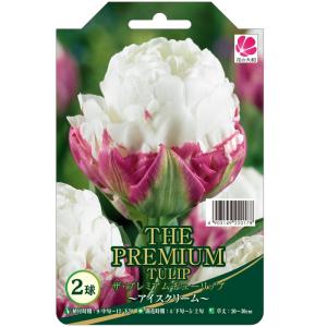 予約販売 花の大和 球根 ザ・プレミアムチューリ...の商品画像