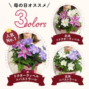 ＼ 早割 / 母の日 プレゼント 選べる クレ...の詳細画像4