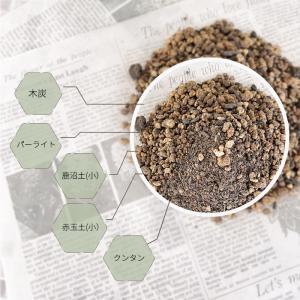 資 観葉植物の土 5L 観葉植物 土 培養土 ...の詳細画像1