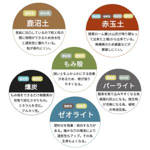 資 観葉植物の土 5L 観葉植物 土 培養土 ...の詳細画像2