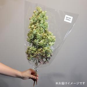 ドライフラワー カシワバアジサイ 小束 3〜5...の詳細画像5