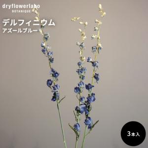 ドライフラワー デルフィニウム アズールブルー 3本入り インテリア 飾り ディスプレイ アンティーク おしゃれ 可愛い アレンジ ドライフラワーラボ dfl