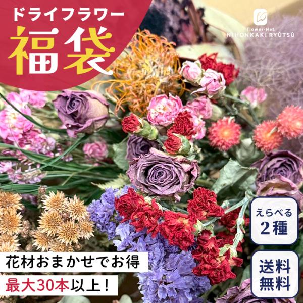 【お客様感謝祭】選べるドライフラワー 福袋 送料無料 インテリア 飾り ディスプレイ アンティーク ...