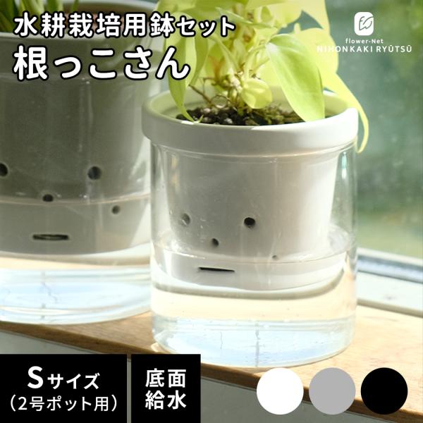 カラーが選べる植木鉢 根っこさん Sサイズ 資 PP-0256S 2号 ガラス 受皿付 陶器 鉢 水...