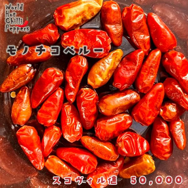 予約販売 トウガラシ苗 モノチコペルー 9cmポット 唐辛子 とうがらし 野菜苗 家庭菜園 nft ...