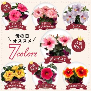 ＼遅れてごめんね/ 母の日 プレゼント 選べる...の詳細画像4