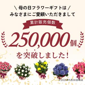 ＼ 早割 / 母の日 プレゼント バラ 河本バ...の詳細画像1
