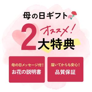 ＼ 早割 / 母の日 プレゼント バラ 河本バ...の詳細画像2