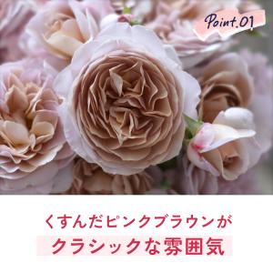 ＼ 早割 / 母の日 プレゼント バラ 河本バ...の詳細画像4