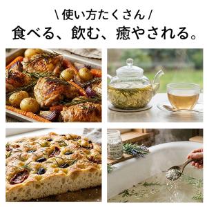 ローズマリー 苗 ピンクローズマリー 9cmポ...の詳細画像3