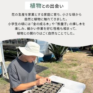 多肉植物 O’sエケベリア百物語 EPISOD...の詳細画像4
