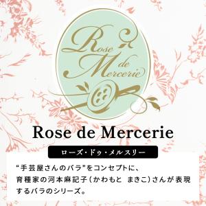 予約販売 バラ 苗 バラ 大苗 河本バラ園 グ...の詳細画像4
