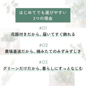 予約販売 グリーンブーケ そのまま飾れる 花器...の詳細画像3