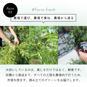 予約販売 グリーンブーケ そのまま飾れる 花器...の詳細画像5