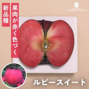 予約販売 りんご 苗 ルビースイート 13.5cmポット 送料無料 林檎 リンゴ 苗木 庭木 果樹苗 接木苗 登録品種 iba 11月上旬以降発送