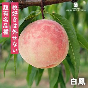 予約販売 桃 苗 白鳳 13.5cmポット 送料無料 苗木 庭木 桃苗 果樹苗 接木苗 iba 11月上旬以降発送