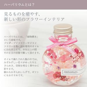 全6色からお好きに選べる3本入りギフトボックス...の詳細画像3