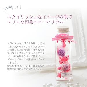 小さいサイズのハーバリウム 四角瓶 全3色(青...の詳細画像2