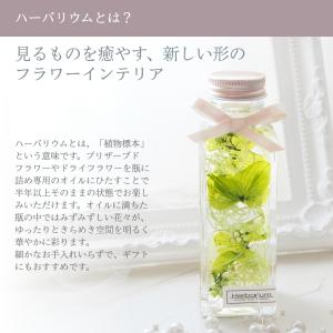 小さいサイズのハーバリウム 四角瓶 全3色(青...の詳細画像3