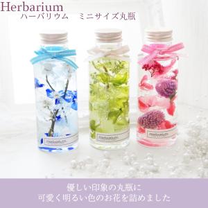 小さいサイズのハーバリウム 丸瓶 全3色(青 ...の詳細画像1
