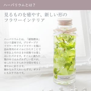 小さいサイズのハーバリウム 丸瓶 全3色(青 ...の詳細画像3