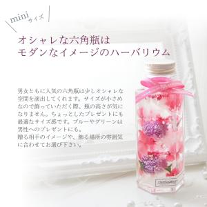 小さいサイズのハーバリウム 六角瓶 全3色(青...の詳細画像2