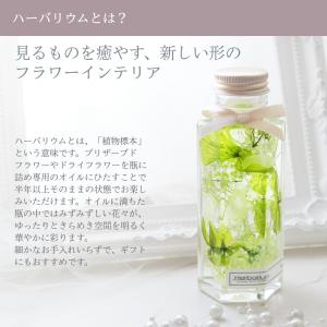 小さいサイズのハーバリウム 六角瓶 全3色(青...の詳細画像3